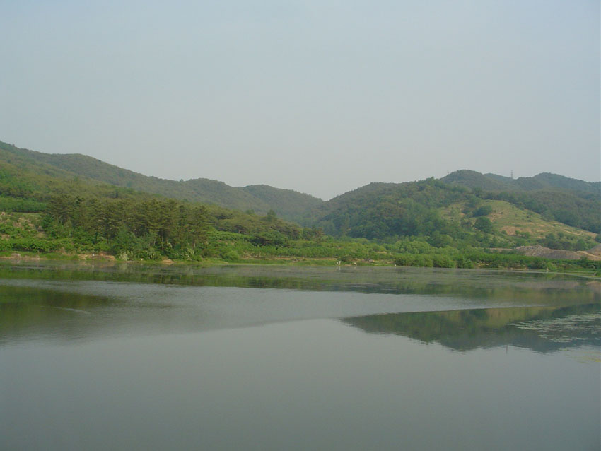 Dsc00869.jpg