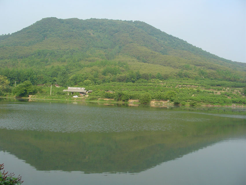 Dsc00870.jpg