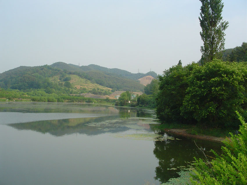 Dsc00871.jpg