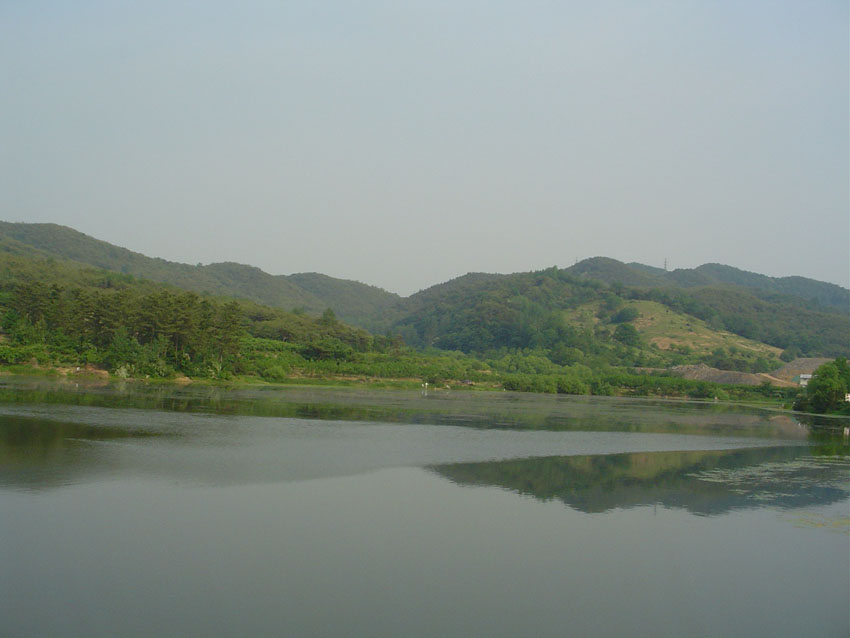 Dsc00872.jpg