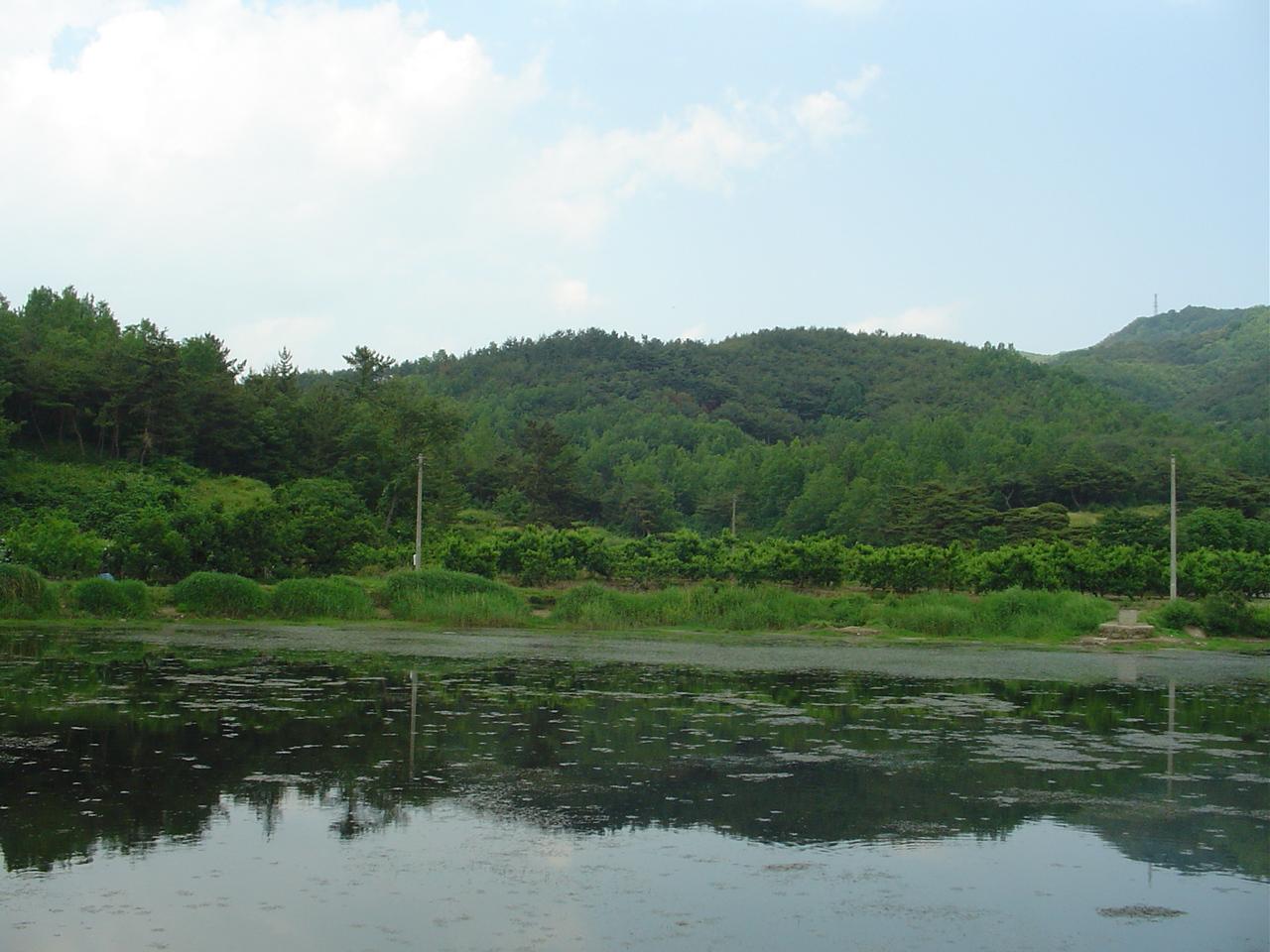 Dsc00892.jpg