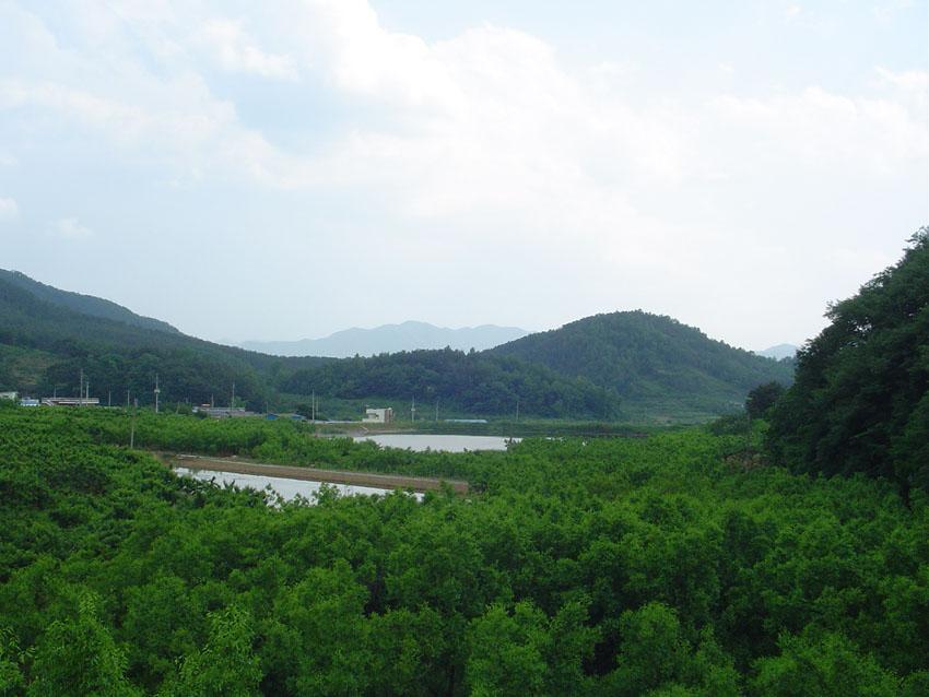 Dsc00895.jpg