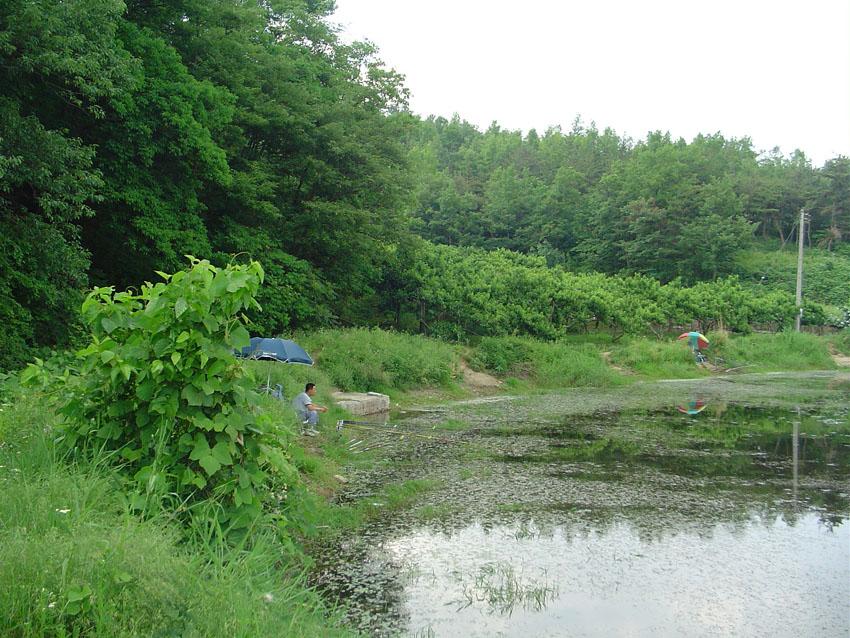 Dsc00898.jpg