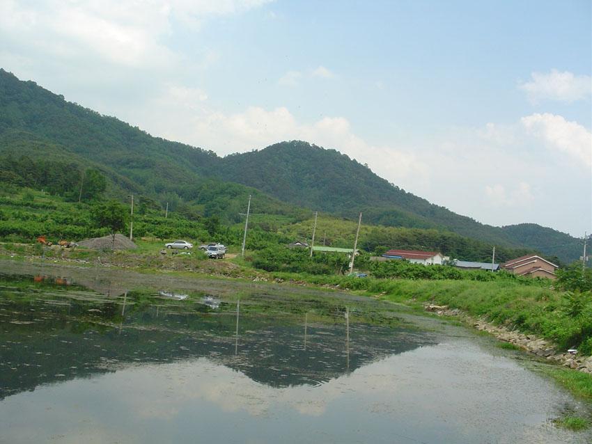 Dsc00901.jpg