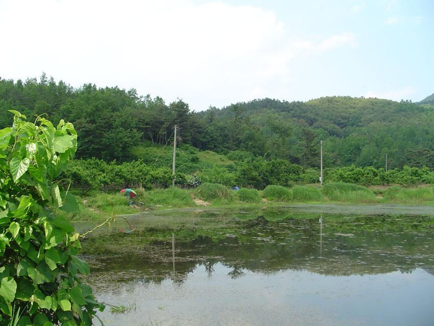 Dsc00902.jpg