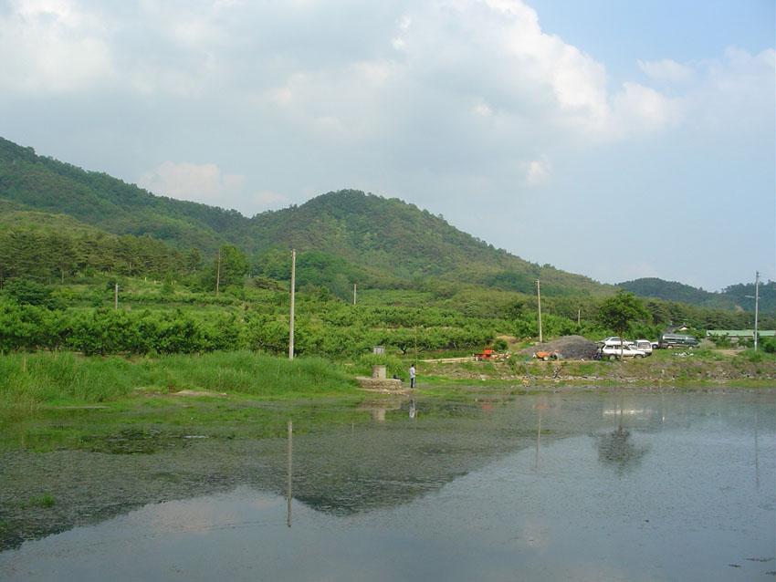 Dsc00908.jpg
