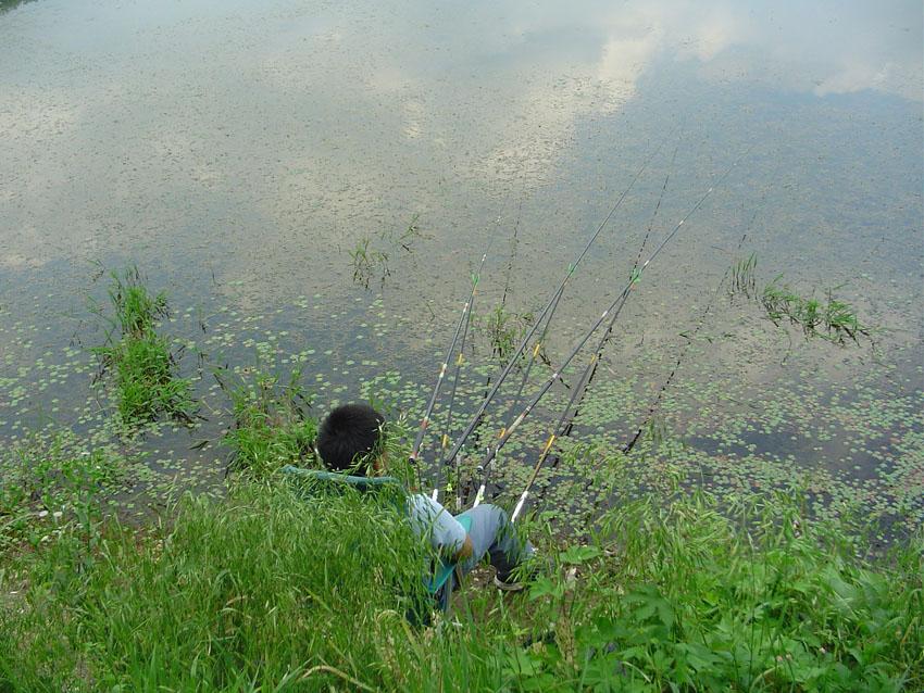 Dsc00910.jpg