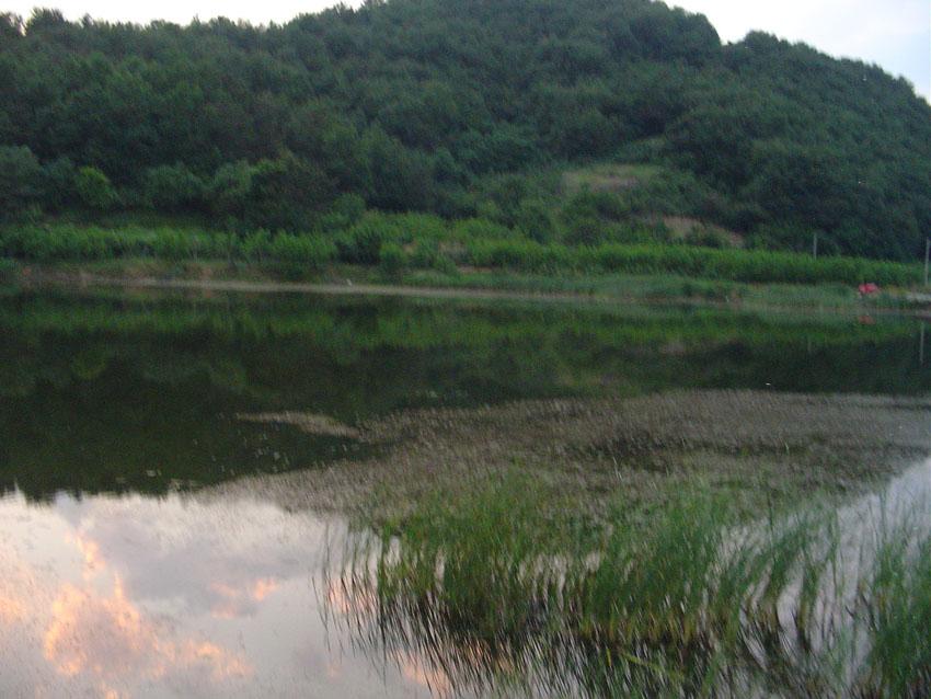 Dsc00919.jpg