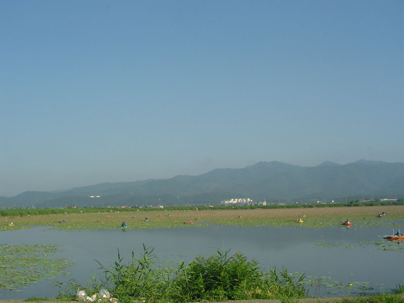 Dsc00922.jpg