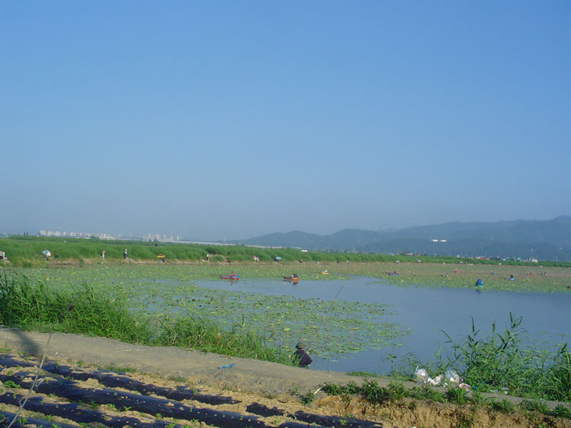 Dsc00925.jpg