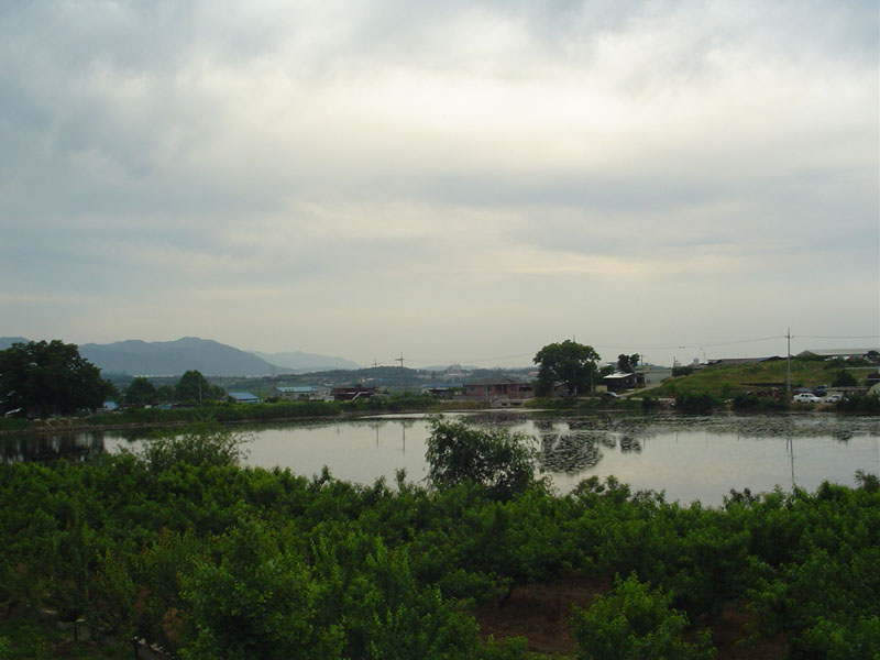 Dsc00926.jpg