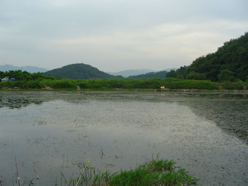 Dsc00929.jpg