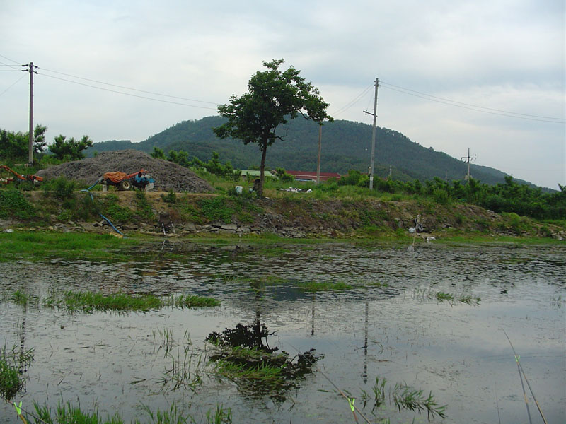 Dsc00930.jpg