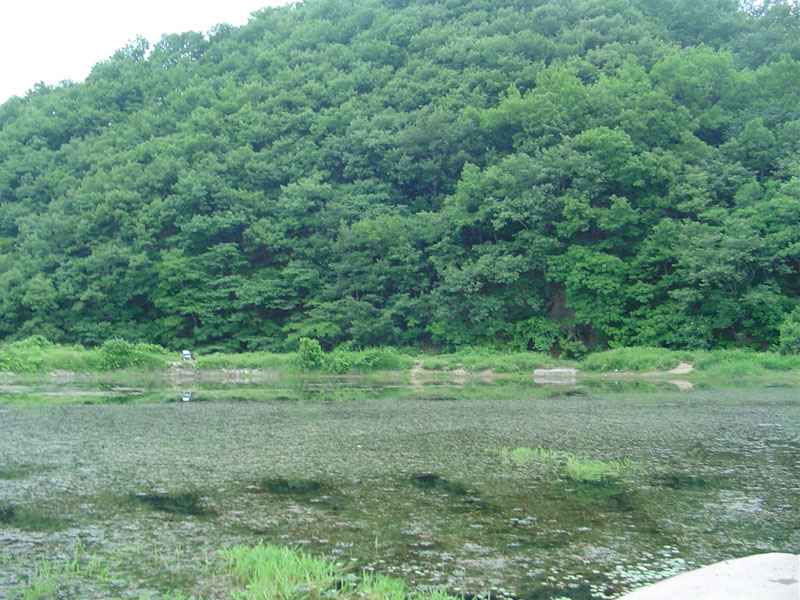 Dsc00931.jpg