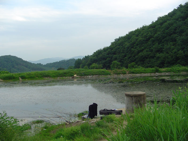 Dsc00933.jpg