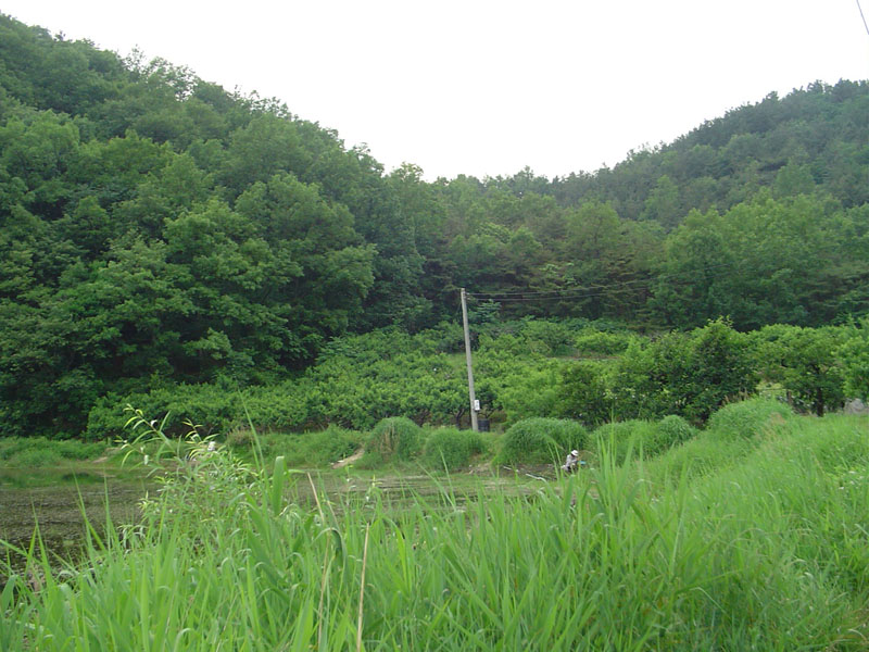 Dsc00934.jpg