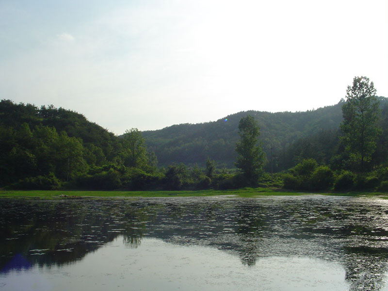 Dsc00942.jpg