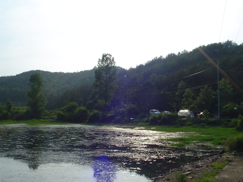 Dsc00944.jpg