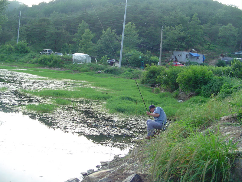 Dsc00948.jpg