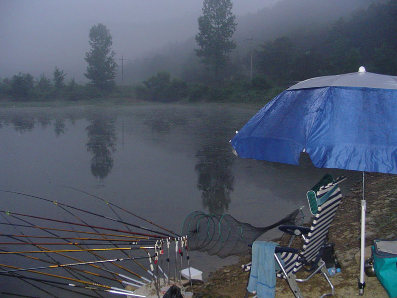 Dsc00954.jpg