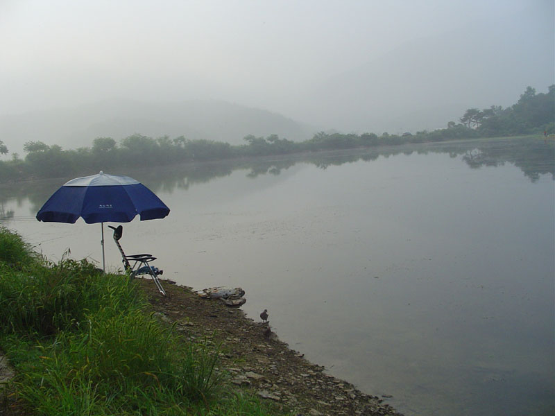 Dsc00966.jpg