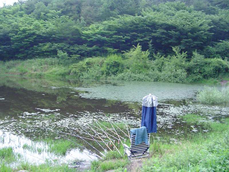 Dsc01004.jpg