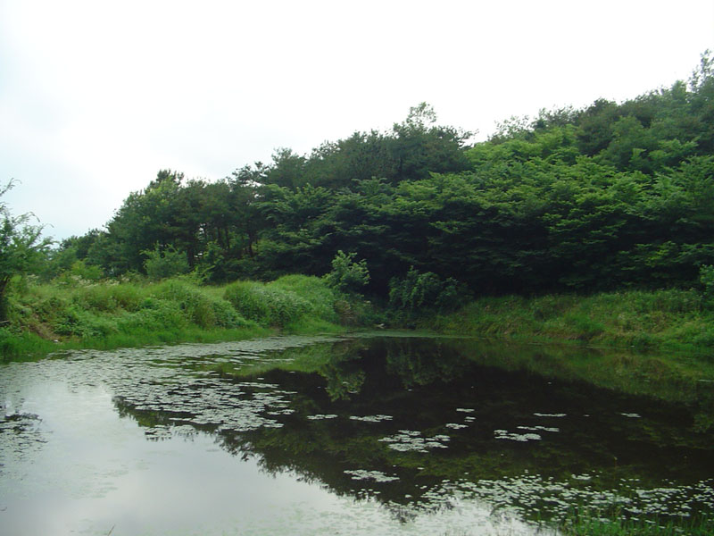 Dsc01005.jpg