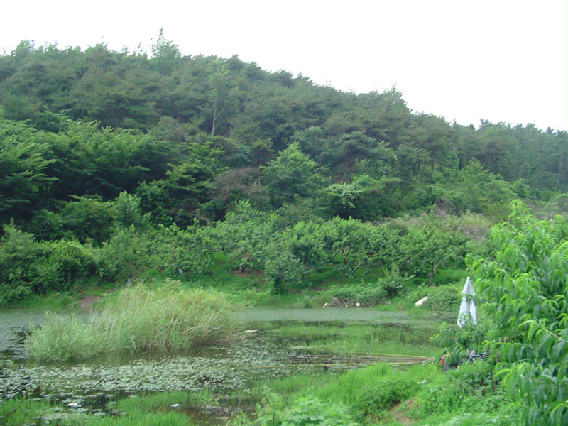 Dsc01006.jpg