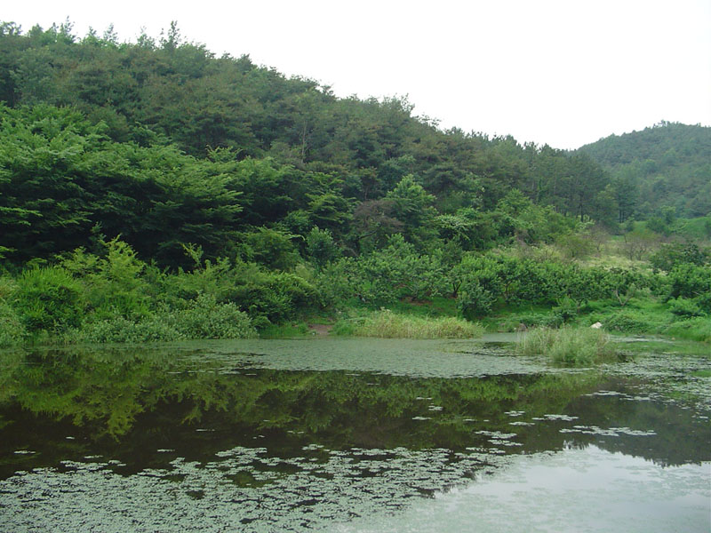 Dsc01007.jpg