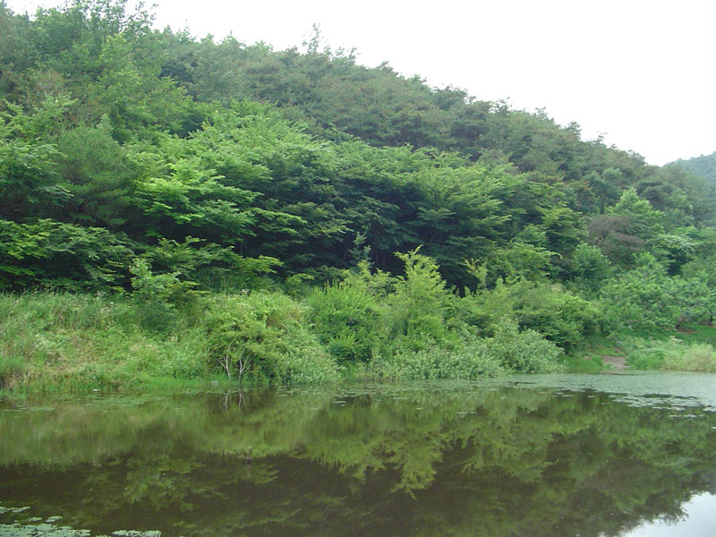 Dsc01008.jpg