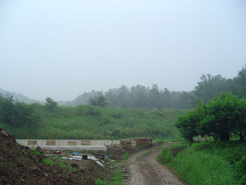 Dsc01025.jpg