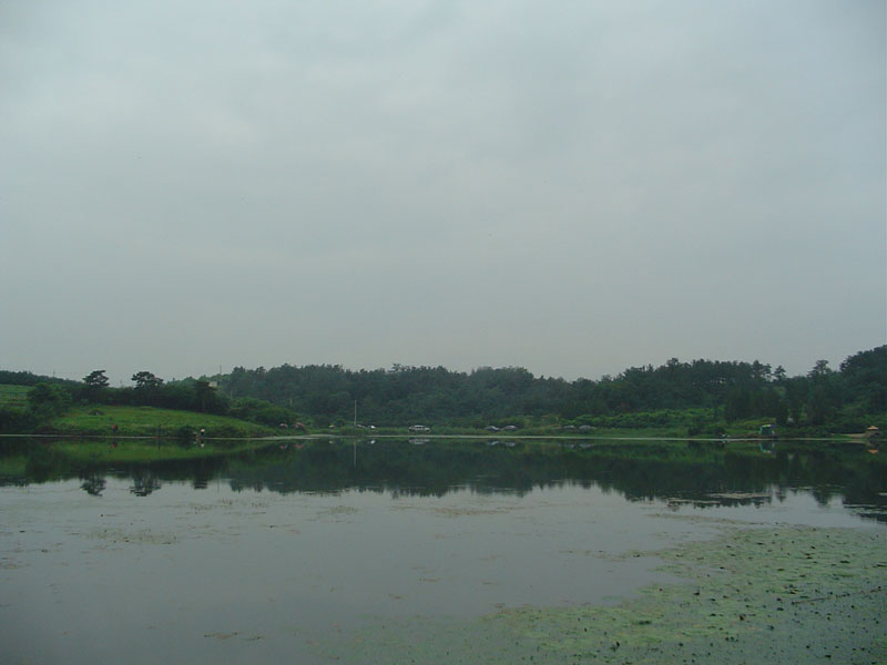 Dsc01050.jpg