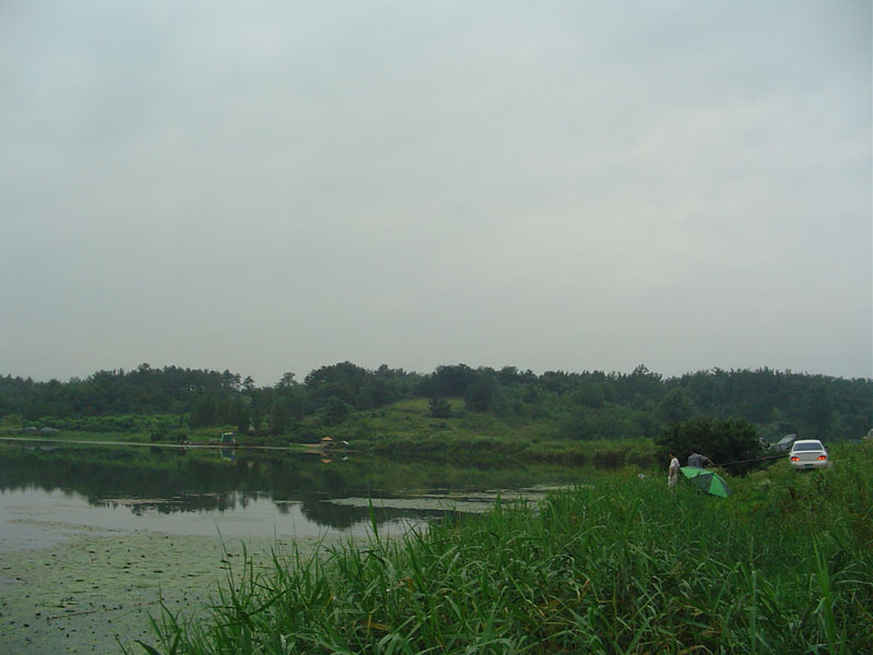 Dsc01052.jpg