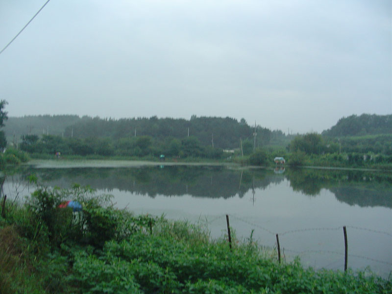 Dsc01056.jpg