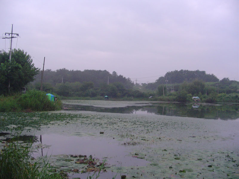 Dsc01059.jpg