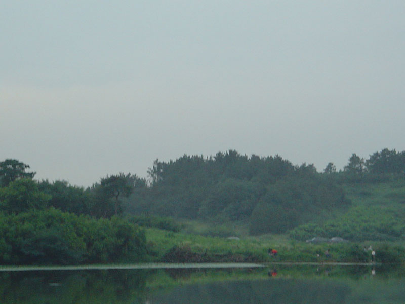 Dsc01060.jpg