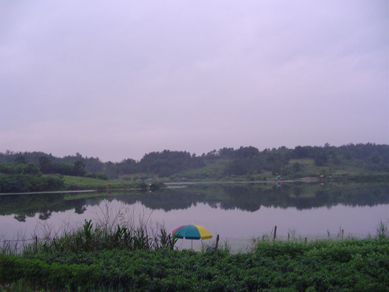 Dsc01061.jpg