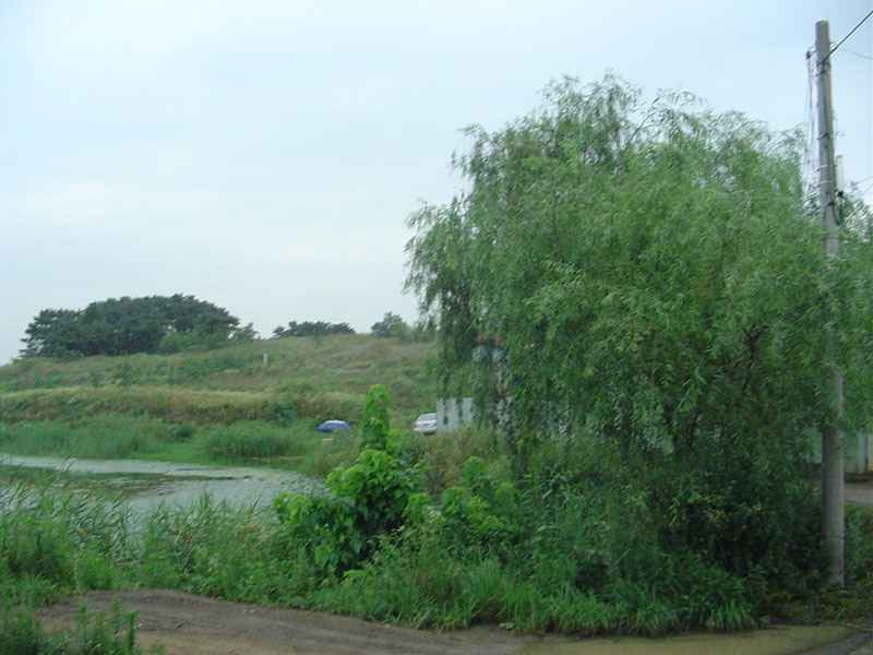 Dsc01062.jpg