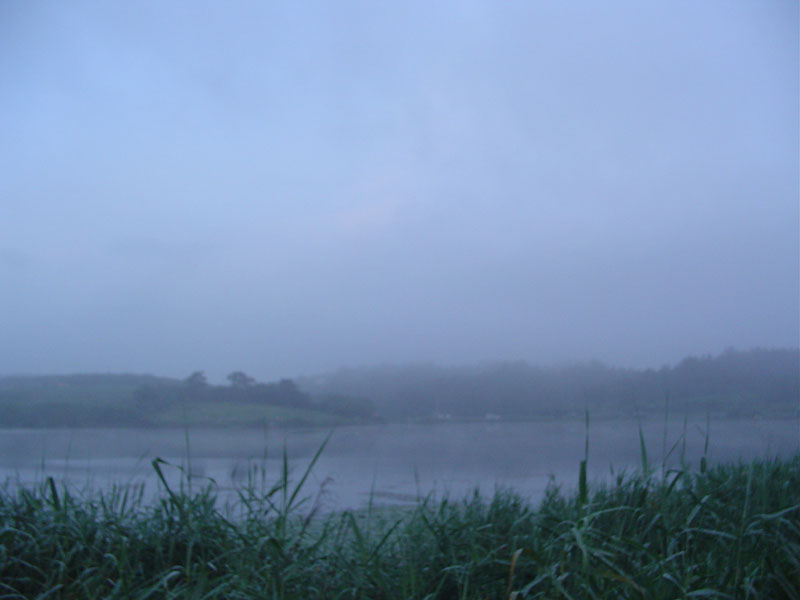 Dsc01063.jpg