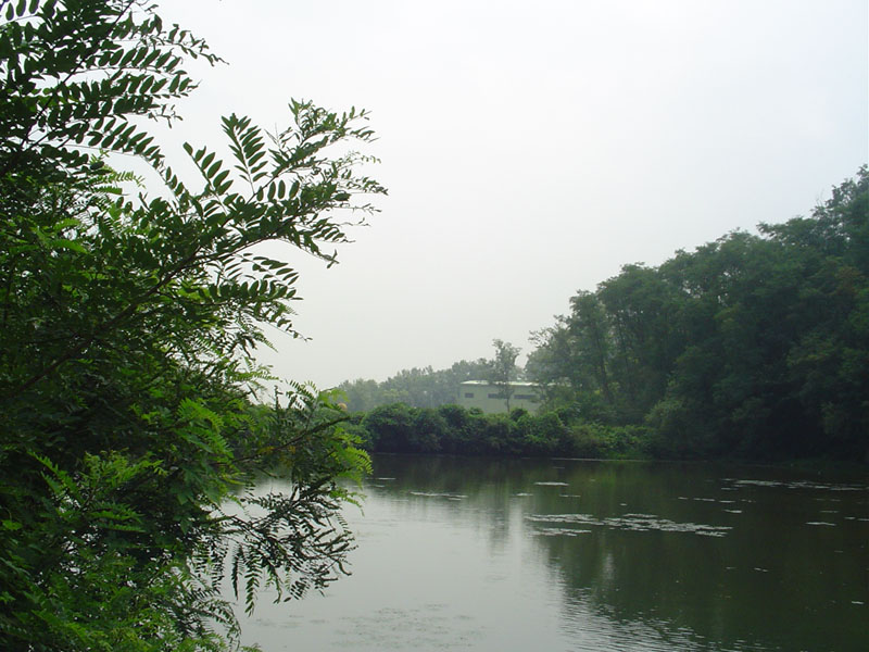 Dsc01103.jpg
