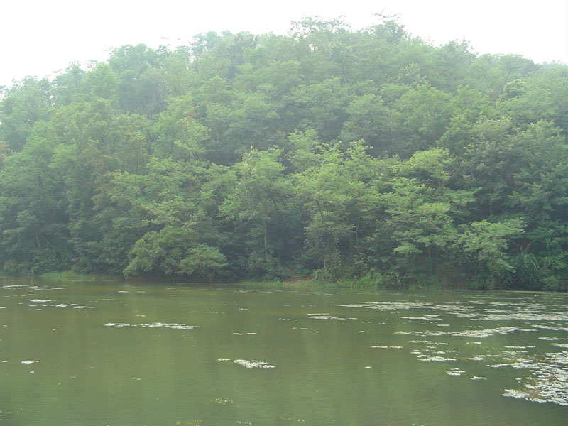 Dsc01104.jpg