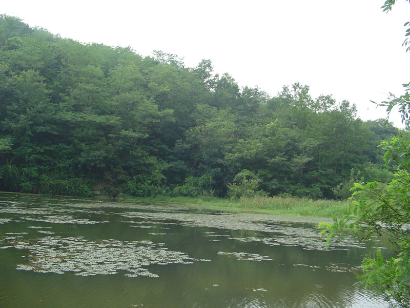 Dsc01105.jpg