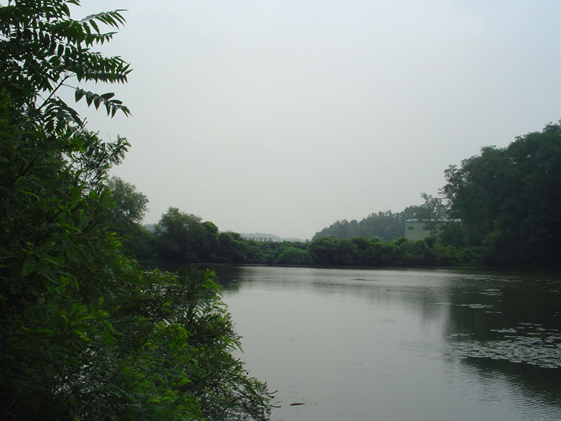 Dsc01106.jpg