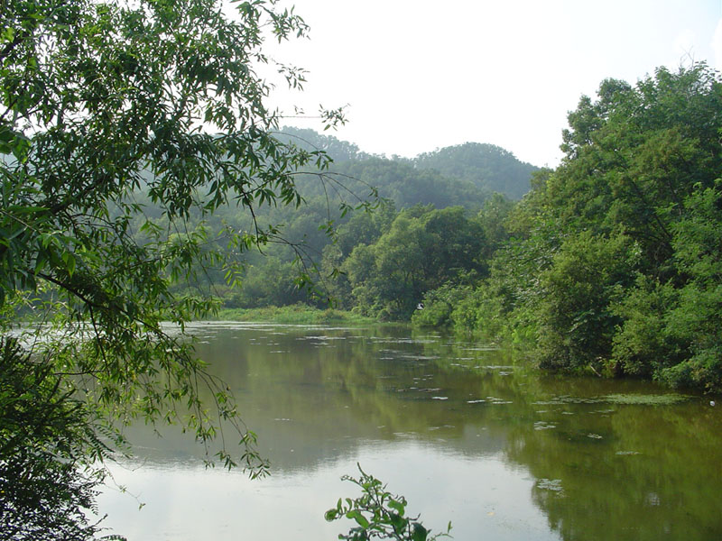 Dsc01113.jpg
