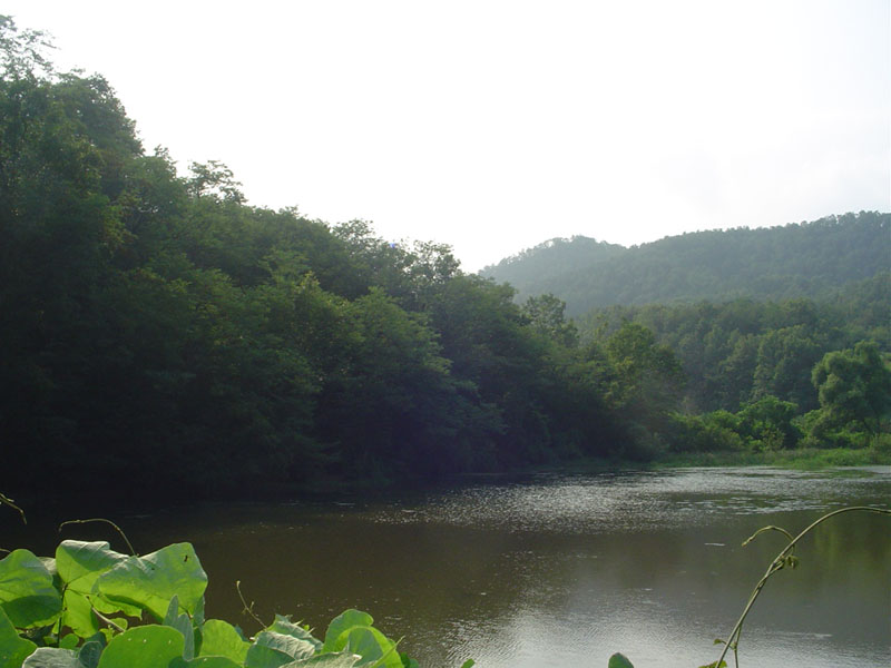 Dsc01114.jpg