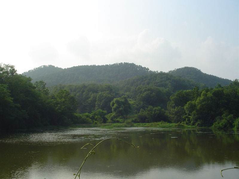 Dsc01115.jpg