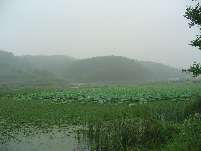 Dsc01133.jpg