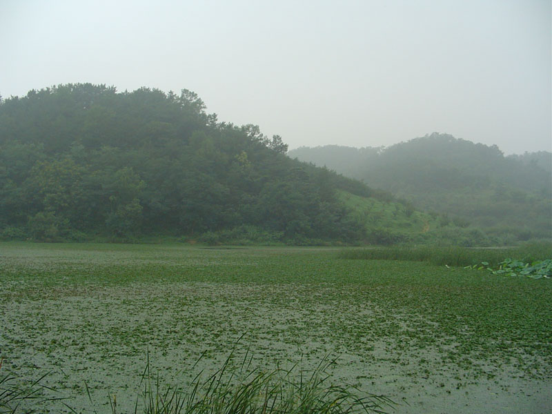Dsc01134.jpg
