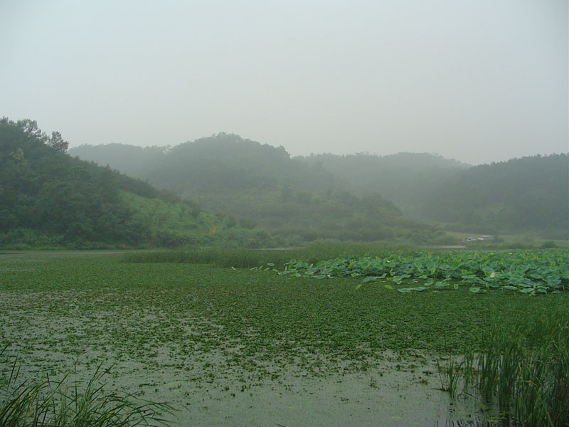 Dsc01135.jpg