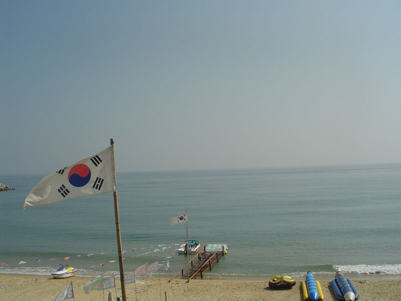 Dsc01231.jpg